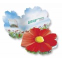 Klappkärtchen Blüte, bunte Blumenmischung, 1-4-farbig Digitaldruck inklusive