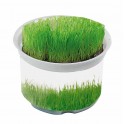 Portion Wachstum Rasen, 1-4 c Digitaldruck inklusive auf Banderole und Deckeletikett