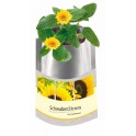 Plant Bag 'Sonne', Zwergsonnenblume, 1-4-farbig Digitaldruck inklusive